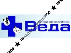 Веда