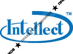 Интеллект