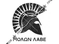 Дружба систем