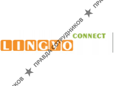 Лингво Коннект