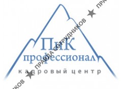 Кадровый центр ПиК-профессионал