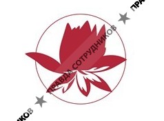 Белый Лотос