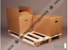 Кашин Алексей