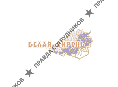 Белая Сирень