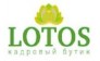 Lotos