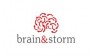 Brain &amp; Storm Inc.