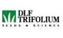 DLF-Trifolium A/S, Представительство в Москве