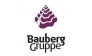 Бауберг групп