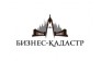 БИЗНЕС-КАДАСТР