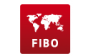 FIBO Group, Санкт-Петербург