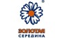 Золотая Середина