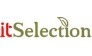 IT_Selection