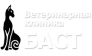 Баст, Ветеринарная клиника