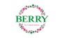 Берри