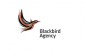 BlackBird Agency