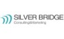Сильвер Бридж Консалт