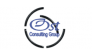 Ost Consulting Group