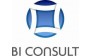 BI Consult