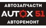 Автомикс