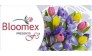 Bloomex Company Group