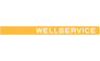 Wellservice