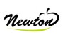 Ньютон