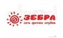 Зебра Люберцы