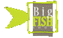 BigFish-Shop