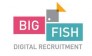 HR-бюро Big Fish Recruitment