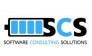 Software Consulting Solutions