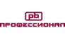 Компания Профессионал
