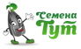 Семена Тут 
