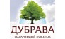 Группа компаний Дубрава 