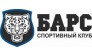 Барс 