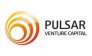 Pulsar Venture Capital (Пульсар Венчур Кэпитал) 