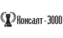 Консалт-3000 