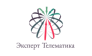 Эксперт Телематика 