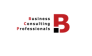 Business Consulting Professionals 
