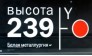 Высота 239