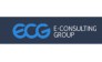 E-consulting group
