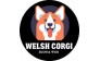 Welsh Corgi (ИП Крамаренко Дарья Олеговна)