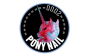 PONYNAIL