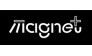 ИП magnet