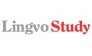 LingvoStudy
