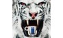 ИП Lavazza31