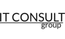 IT Consult