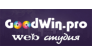 ИП Goodwin.pro