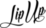 Digital-агентство LIPUP