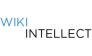 Digital marketing agency Wiki Intellect
