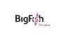 BigFish